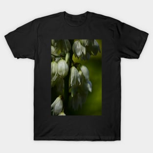 Nature’s Window: Vanilla Ice Cream T-Shirt